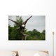 American Bald Head Eagle Wall Mural