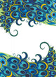Peacock background 