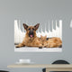 German Shepherd Dog and cat together cat and dog together lying 