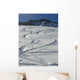 Tracks Snow Expected over Wall Decal