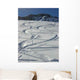 Tracks Snow Expected over Wall Decal