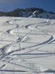 Tracks Snow Expected over Wall Decal