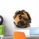 Guinea Pigs Wall Decal