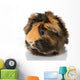 Guinea Pigs Wall Decal