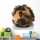 Guinea Pigs Wall Decal