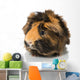 Guinea Pigs Wall Decal