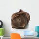 Guinea Pigs Wall Decal