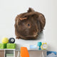 Guinea Pigs Wall Decal