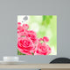 Natural pink roses background Wall Mural