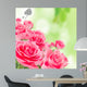 Natural pink roses background Wall Mural