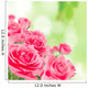 Natural pink roses background Wall Mural