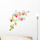 white with red   phalaenopsis with is isolated on white backgrou 