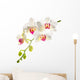 white with red   phalaenopsis with is isolated on white backgrou 