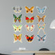 set of colorful butterflies on a white background Wall Decal