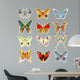 set of colorful butterflies on a white background Wall Decal