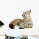 Puma with clipping path Wall Decal