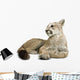 Puma with clipping path Wall Decal