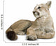 Puma with clipping path Wall Decal