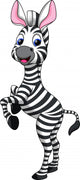 Zebra cartoon Wall Decal