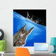 Monster Fish Wall Decal