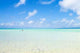 Walking Transparent Waters Wall Decal