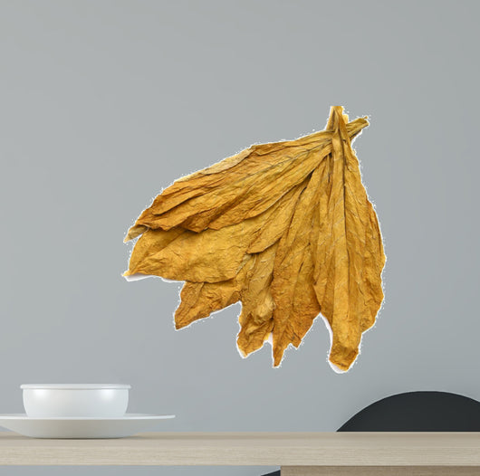 Tobacco Leaves 