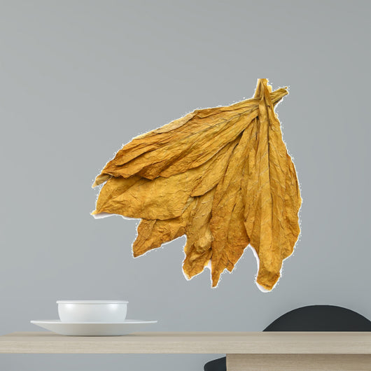 Tobacco Leaves 