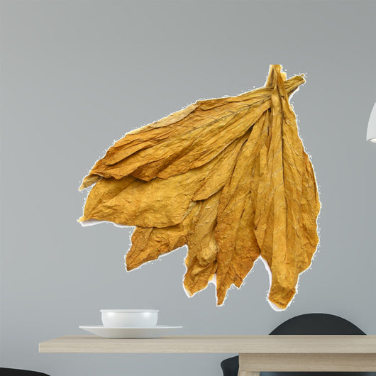 Tobacco Leaves 