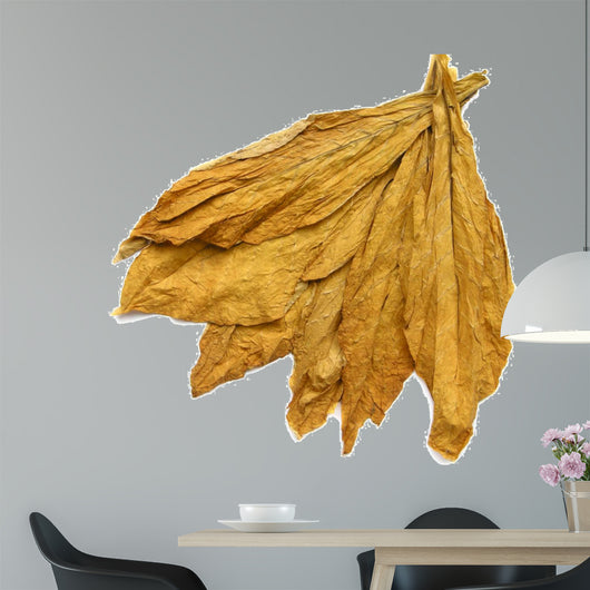 Tobacco Leaves 