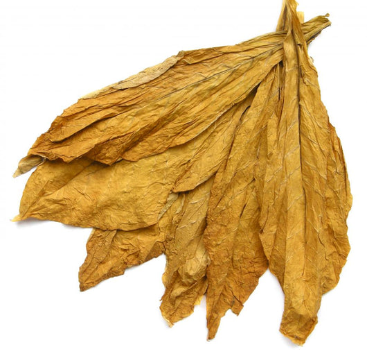 Tobacco Leaves 