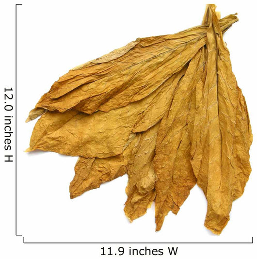 Tobacco Leaves 