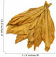 Tobacco Leaves 