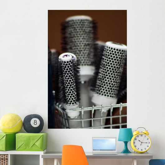 hair brushes Wall Mural