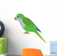 An Illustration of a Quaker Parrot Wall Decal