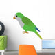 An Illustration of a Quaker Parrot Wall Decal