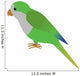 An Illustration of a Quaker Parrot Wall Decal