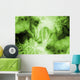 abstract artwork with ornaments Wall Mural