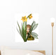 Cute Toon Daffodil Fairy Hiding Wall Decal