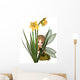 Cute Toon Daffodil Fairy Hiding Wall Decal