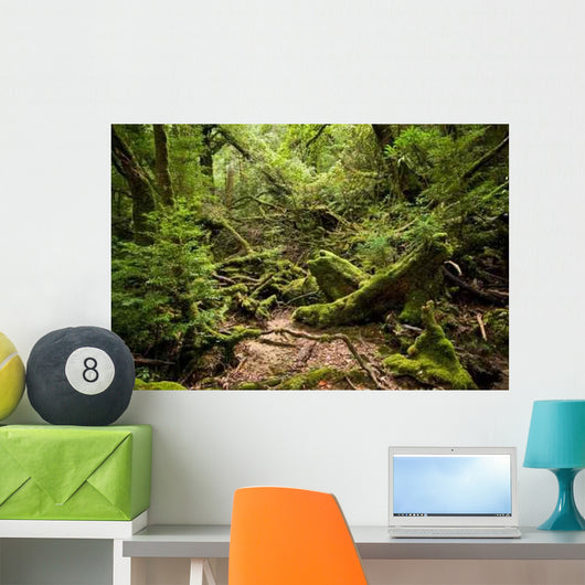 Forest Path Wall Decal