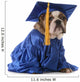 Puppy Graduate School Wall Decal