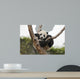 Giant Baby Panda Hanging on a Tree 