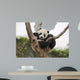 Giant Baby Panda Hanging on a Tree 