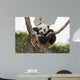Giant Baby Panda Hanging on a Tree 