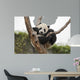 Giant Baby Panda Hanging on a Tree 