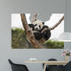 Giant Baby Panda Hanging on a Tree 