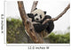 Giant Baby Panda Hanging on a Tree 