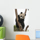 Giant Baby Panda Climbing on a Tree 