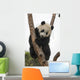 Giant Baby Panda Climbing on a Tree 