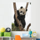 Giant Baby Panda Climbing on a Tree 